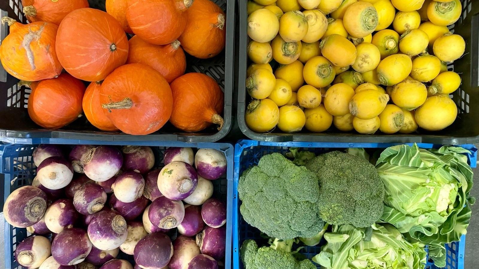 Odoo- Echantillon n° 2 pour trois colonnes