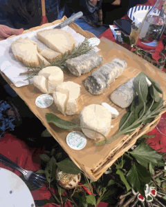 Odoo • Image et Texte