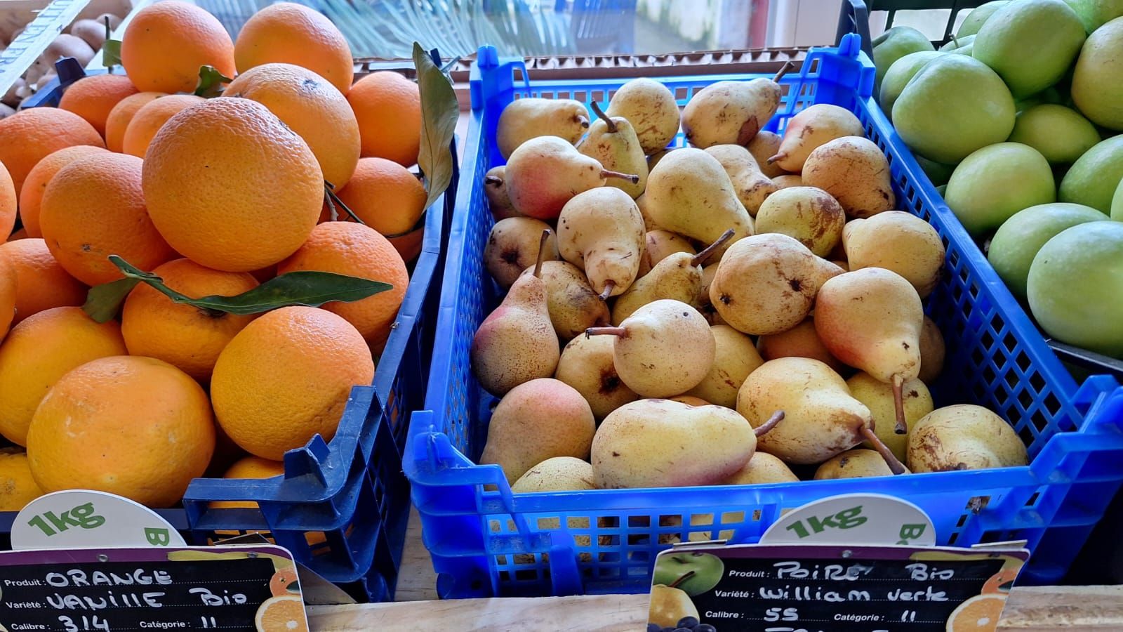 Odoo - Echantillon n°1 pour trois colonnes 