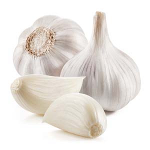 AIL BLANC/VIOLET BIO
