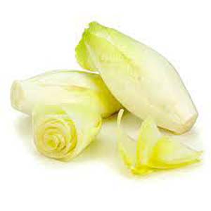 ENDIVE BIO FRANCE