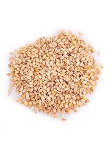GRAINE DE SESAME VRAC